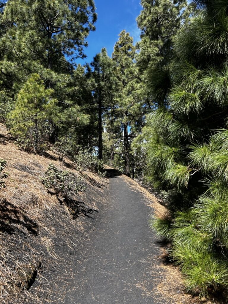 Downhill vor El Pilar (nicht während des Rennens)