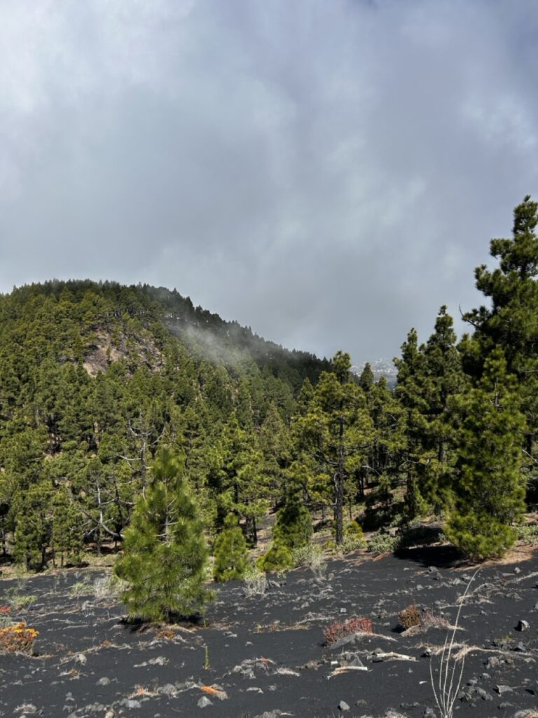 Aussicht auf die Ruta de los Volcanes (nicht während des Rennens)